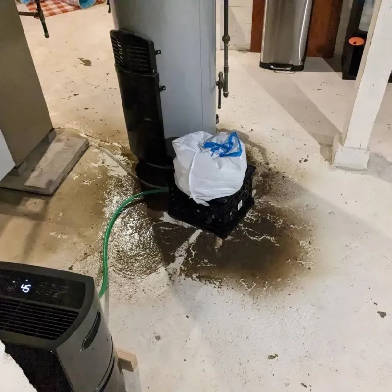 Sewage Backup Cleanup Service in West Lake Hills, TX